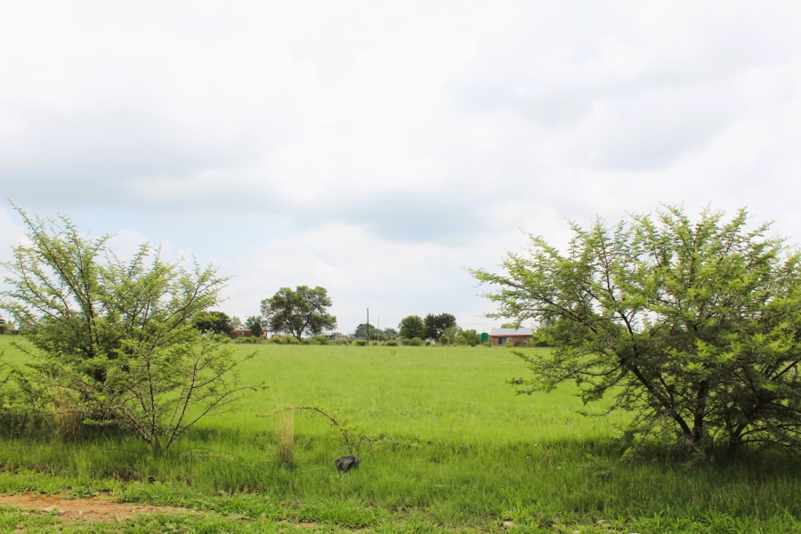 0 Bedroom Property for Sale in Metsimaholo Free State